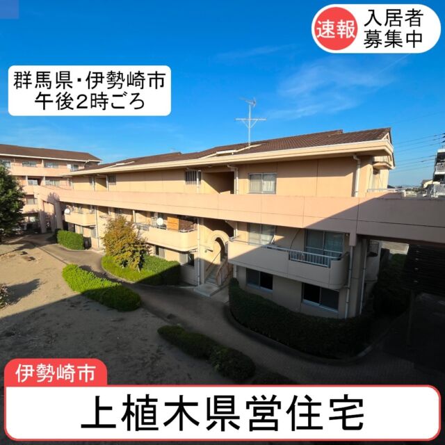 上植木県営住宅 
📍伊勢崎市本関町1194-2 
 
間取り　3DK(和2,洋1) 
家　賃　￥21,000/月～（収入に応じて変動） 
駐車料　￥2,750/台 
敷　金　家賃の3か月分 
※そのほか、共益費があります 
 
🔥プロパンガス 
🛁給湯器 
✨一部エレベーター付き 
🏫殖蓮小学校、殖蓮中学校 
 
ーーーーー 
☑スーパー・ドラッグストアがすぐ近く！ 
・ベイシアマート 伊勢崎国定店　🚙5分 
・ベルク 伊勢崎寿店　🚙7分 
 
 
☑電車やバスも便利！ 
・最寄り駅：国定駅 3.8km 
・最寄りバス停：本関町　290m 
ーーーーー 
B棟だけはやや東向きで、朝日がたくさん入ります☀ 
朝日を浴びて、1日のスタートを気持ちよく！ 
 
 
【お問い合わせ先】 
群馬県住宅供給公社　管理部 管理課 
027-223-5811 
音声がダンス「1→1」 
平　日　8：30-17：15 
土曜日　9：30-17：15 
※日曜日は休業です 
 
#群馬県住宅供給公社 
#県営住宅 
#伊勢崎市 
#上植木 
#入居者募集中 
#賃貸住宅 
#集合住宅 
#団地生活 
#お部屋探し 
#エレベーターあり 
#駐車場あり 
#日当たり良好 
#物件紹介