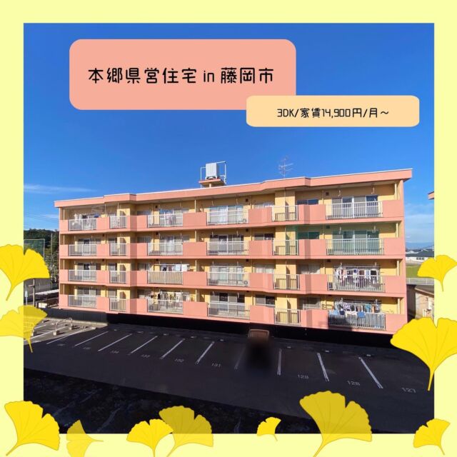 本郷県営住宅
📍 藤岡市本郷903-1

💰月額使用料
間取り　3DK（和室3部屋）
家　賃　￥14,900〜35,900/月（世帯収入に応じて変動）
駐車料　￥2,750/台
敷　金　家賃の3か月分
※そのほか、共益費があります

🔥LPガス
🛁バランス釜
✨自然豊か
🏫 藤岡市立美九里東小学校、藤岡市立東中学校

ーーーーー
☑スーパー・ドラッグストアがすぐ近く！
・コープぐんまコープ藤岡店　🚙３分
・ドラッグストアコスモス 藤岡店　🚙５分

ーーーーー

お気軽にお電話でお問い合わせください📞

【お問い合わせ先】
群馬県住宅供給公社　管理部
027-223-5811
音声ガイダンス「1→1」
平　日　8:30-17:15
土曜日　9:30-15:30
※日曜日・祝日は休業です

#群馬県住宅供給公社
#県営住宅
#群馬県
#藤岡市
#団地
#団地暮らし
#集合住宅
#賃貸住宅
#おうち探し
#入居者募集中